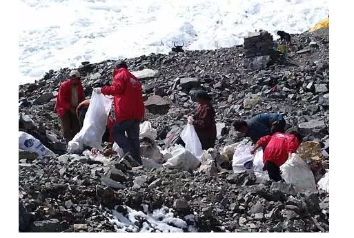 你被“垃圾分類”洗腦了嗎？揭秘強(qiáng)制分類背后的驚天秘密！-