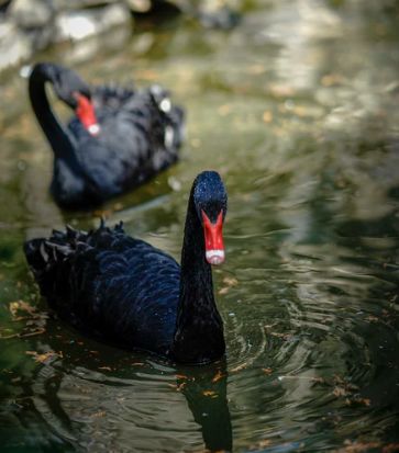 被評(píng)為“上海名牌”產(chǎn)品，這家企業(yè)究竟為民族閥門工業(yè)盡了多少力量？-