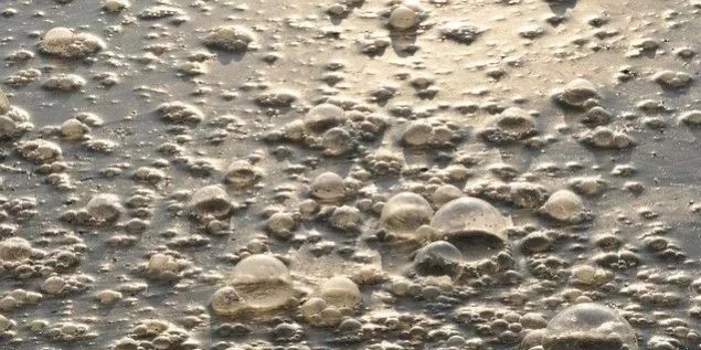 污水廠內(nèi)的生物氣溶膠怎么產(chǎn)生，污水從業(yè)人員如何做好防護(hù)？-