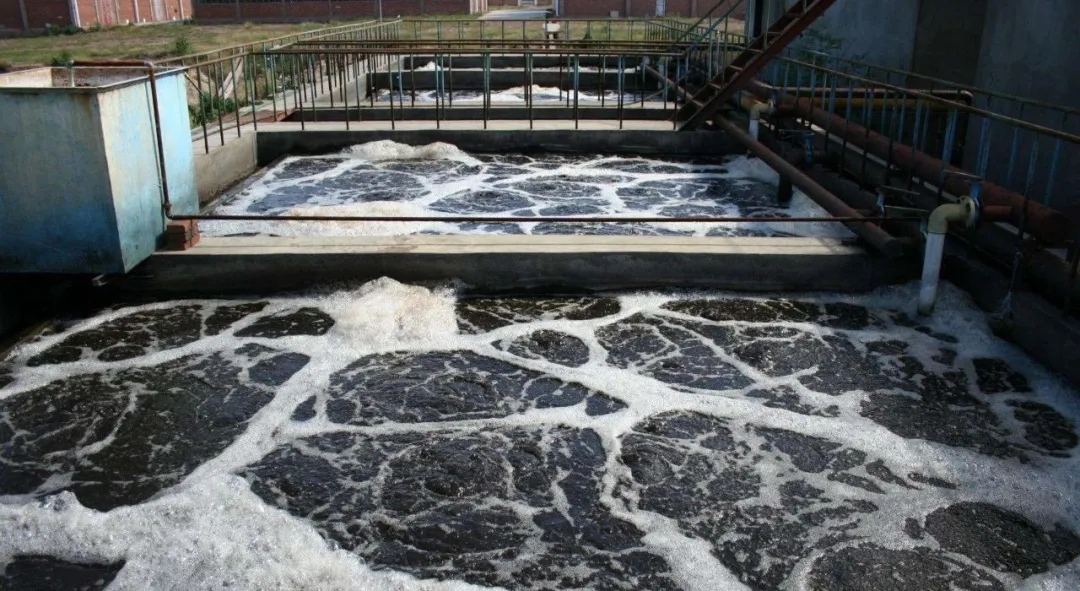 住建部：如何應對新冠病毒從馬桶到水環(huán)境的潛在傳輸途徑？