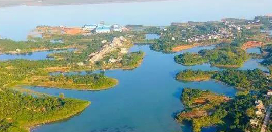 不斷加速的淘汰賽中，泵管閥“后浪們”為活下去而戰(zhàn)！