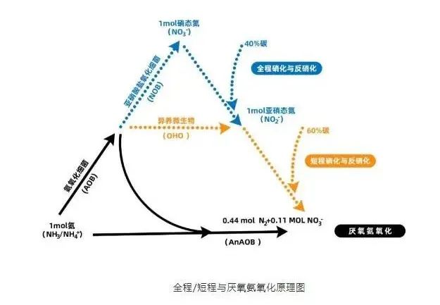 面對(duì)低濃度氨氮工業(yè)廢水束手無策？這幾種方法可以解決-