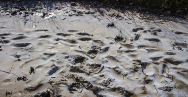 換季污泥膨脹，怎么辦？