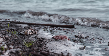 103條黑臭水體！江蘇2024年全省農(nóng)村環(huán)境整治工作計(jì)劃！