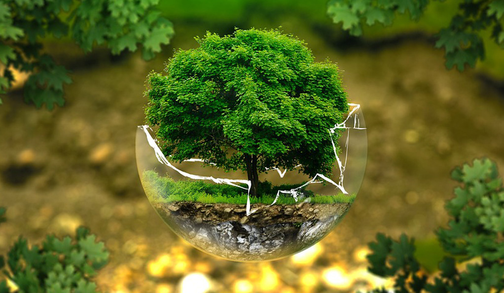 中國水環(huán)境集團(tuán)：綠色低碳技術(shù)驅(qū)動水務(wù)價(jià)值重構(gòu)